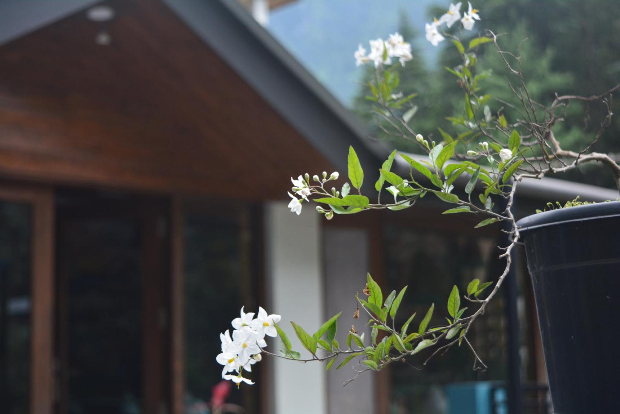 The Neelgiris Hotel Manali  Exterior photo